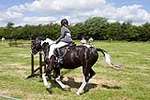 Wanborough Horse and Dog show